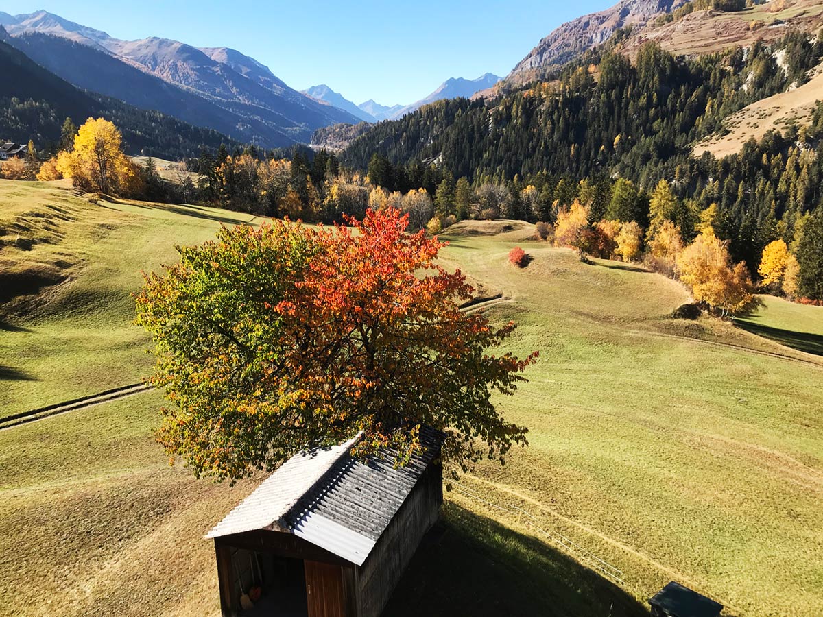 Aussicht-von-Florins-Tarasp-1200 Aussicht vom Ferienhaus Florins in Tarasp